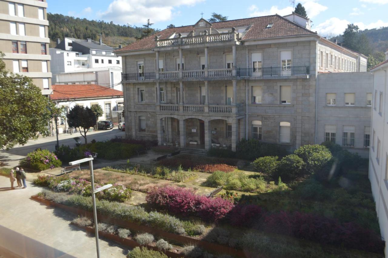 Palmeras Caldas De Reis